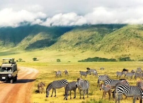7 Days Luxury Tanzania Safari