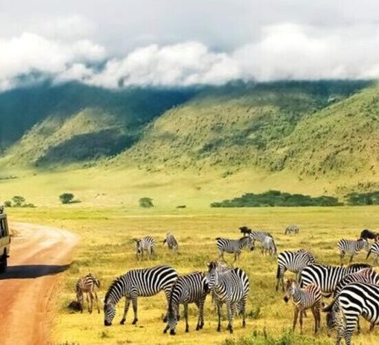 7 Days Luxury Tanzania Safari