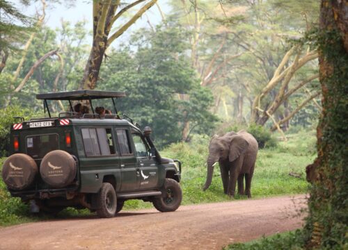 6 Days Tanzania Safari