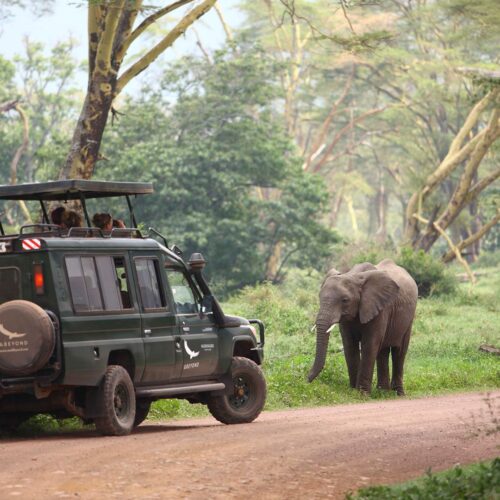 6 Days Tanzania Safari