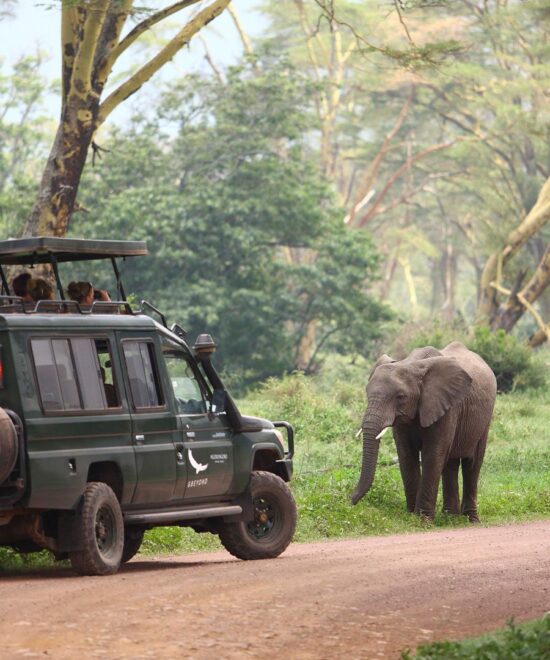 6 Days Tanzania Safari