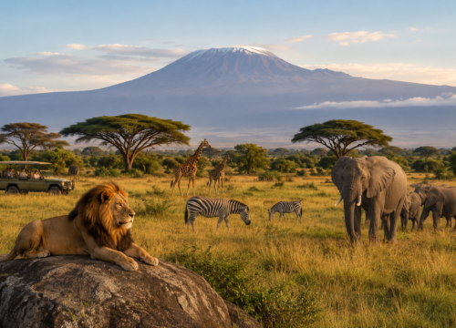 Complete Tanzania Safari Guide 2026: Probe Africa Safaris