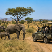 Kenya Safari Cost Guide 2026 How Much Does a Kenya Safari Cost Probe Africa Safaris