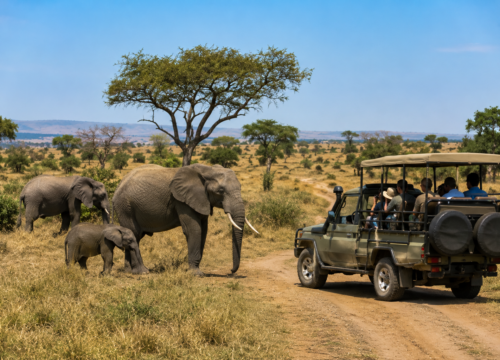 Kenya Safari Cost Guide 2026: How Much Does a Kenya Safari Cost? Probe Africa Safaris