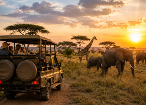 Kenya vs Tanzania Safari Guide: Compare Wildlife, Costs & Experiences- Probe Africa Safaris