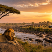 Masai Mara Safari Guide 2026 Wildlife, Costs, Migration & Travel Tips-Probe Africa Safaris