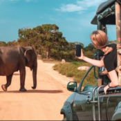 So You Want to Go on a Kenya Safari Here is Everything You Need to Know (2026)-Probe Africa Safaris
