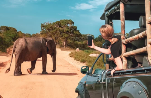 Kenya Safari Guide 2026: Everything You Need to Know Before You Go