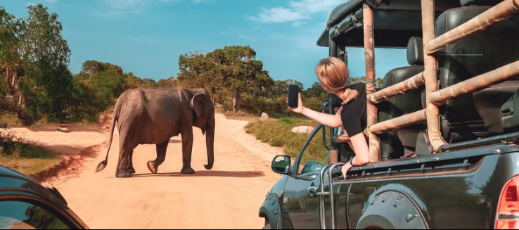 So You Want to Go on a Kenya Safari Here is Everything You Need to Know (2026)-Probe Africa Safaris