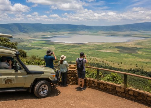 Tanzania Safari Cost Guide 2026: Prices, Budget & Luxury Options- Probe Africa Safaris
