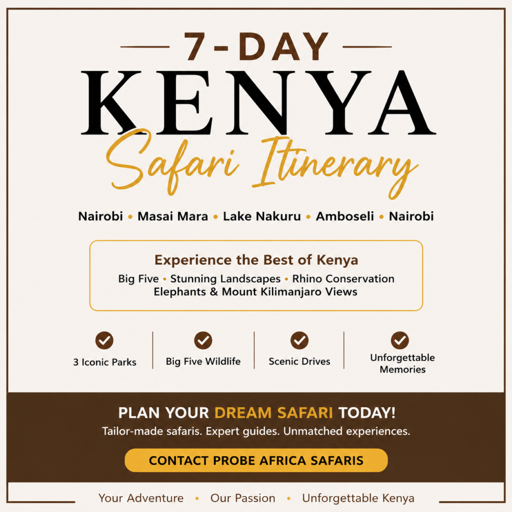 Kenya Safari Itinerary (7 Days): The Ultimate One-Week Safari Adventure-Probe Africa Safaris