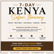 Kenya Safari Itinerary (7 Days) The Ultimate One-Week Safari Adventure-Probe Africa Safaris