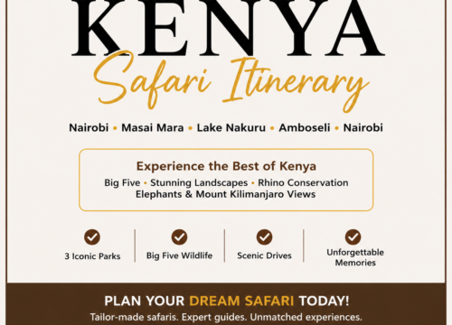 Kenya Safari Itinerary (7 Days): The Ultimate One-Week Safari Adventure-Probe Africa Safaris