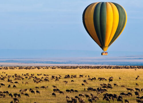 How Much Does a Balloon Safari Cost in Masai Mara?