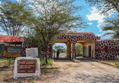 Samburu National Reserve Safari Guide 2026